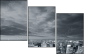 11361747