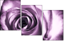11865044