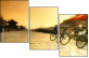 16482031