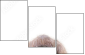17243414