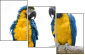 18738718