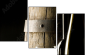 21444921