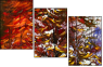 24600488