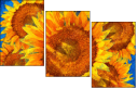 256376669