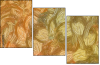 265907570