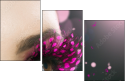 28365450