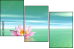 29216817