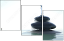 29229555