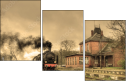 29517691