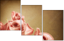 29543249