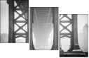 316463049