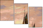 31859268