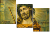 36638994