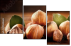 41588665