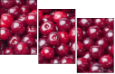 43026743