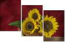 45812888