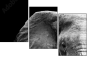 46583459