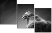 49654340