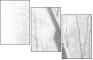 5173764