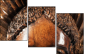 52004103