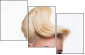 56309569
