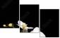 56375059