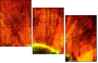 6550561