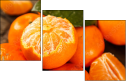 76269627