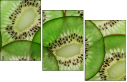 78577804