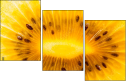 78671231