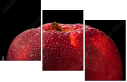 78900295