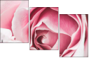 95247840