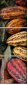 11160772