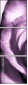 11865044