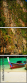 12791054