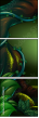 134186592
