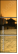 16482031