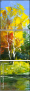 21413236
