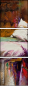 21651193