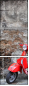 22425722