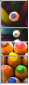 22530826