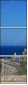 2391159