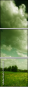 24481115