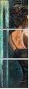 25060957