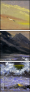 25137835
