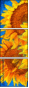 256376669