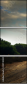 25742331