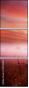 25769240