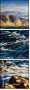 25936119