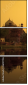 26157196